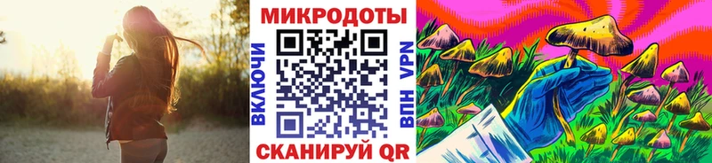 Псилоцибиновые грибы Magic Shrooms  гидра ссылки  Гороховец 